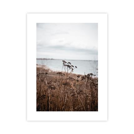 Zima Nad Wodą Plakat : Rozmiar - 30x40 cm