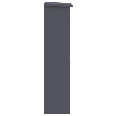 Skrzynka na przesyłki Antracyt 44,5 x 29 x 110,5 cm Stal