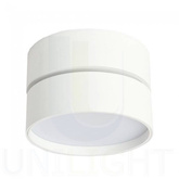 OPRAWA SUFITOWA TUBA DOWNLIGHT URBAN SMART SCIEMNIALNA