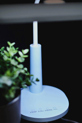 Lampka biurkowa K-BL1521 NIEBIESKI z serii MILO