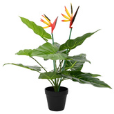 Sztuczna roślina Strelitzia zielony 65 x 13 x 55 cm