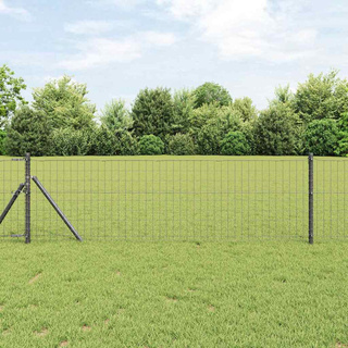 Ogrodzenie Euro 0,6 x 50 m Żelazo pokryte PVC Szary