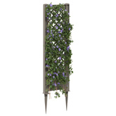 Trellis z gwoździem Szary 43 x 6 x 165 cm PP