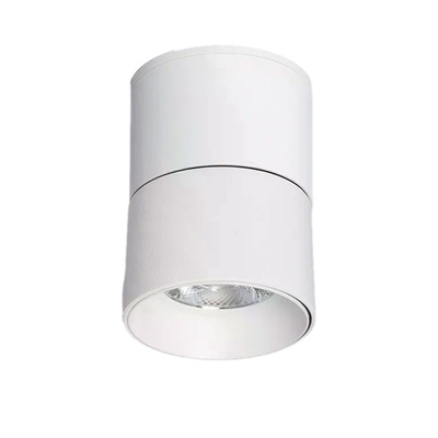 Lampa punktowa Biała 30W Spott LED 4000-4500K Abruzzo Romeo