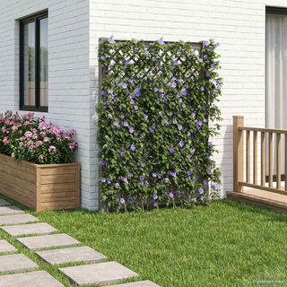 Trellis z gwoździem Szary 99 x 6 x 165 cm PP