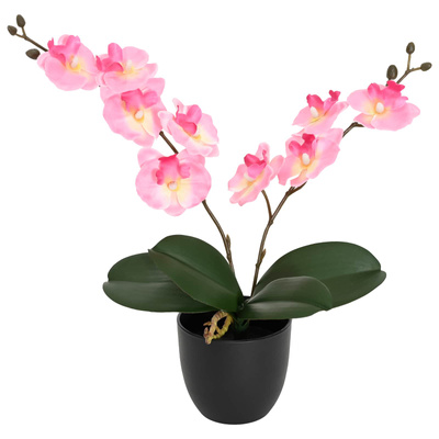 Sztuczna Roślina Orchidei różowy 36 x 10 x 30 cm