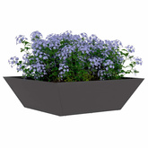 Doniczka ogrodowa 5 pcs Czarny 50 x 50 x 15 cm Stal zimnogięta