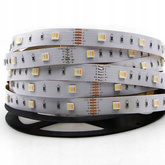 Taśma 300LED SMD5050 PRO 120W | RGB+CCT 5w1 | Rolka 5m