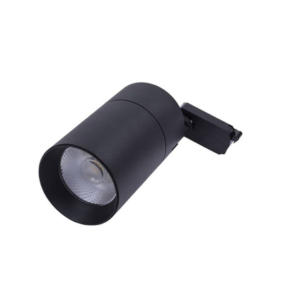 Blaupunkt Reflektor LED 1-fazowy Vision 30W czarny z przełącznikiem barwy światła