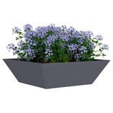 Doniczka ogrodowa 5 pcs Antracyt 50 x 50 x 15 cm