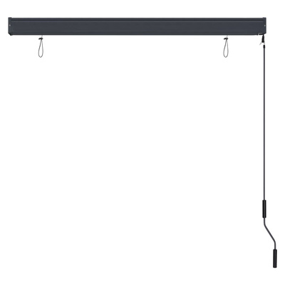 vidaXL Roleta zewnętrzna, 140x250 cm, antracytowa