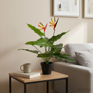 Sztuczna roślina Strelitzia zielony 65 x 13 x 55 cm