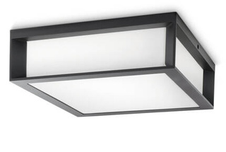 Plafon ogrodowy Philips myGarden SKIES 2x E27 antracyt IP44