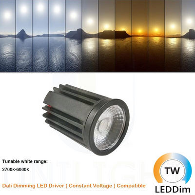 Downlight SPOT LED DALI DT8 CCT Tunable IP44