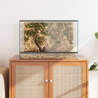 Terrarium z przechowywaniem przezroczysty 60 x 40 x 40 cm Szkło