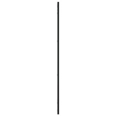 vidaXL Lustro ścienne, czarne, 50x100 cm, prostokątne, żelazo
