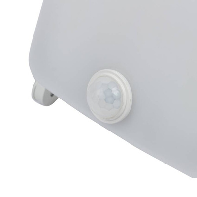 Blaupunkt Naświetlacz LED Strongbeam 30W IP65 z czujnikiem ruchu i zmierzchu PIR barwa naturalna