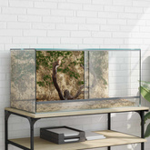 Terrarium z przechowywaniem przezroczysty 80 x 40 x 40 cm Szkło