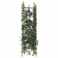 Podpórki do pomidorów, 6 szt., 116 cm, stal i PP