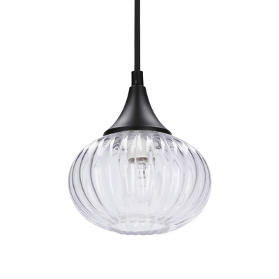 Lampa wiszącza czarna/bezbarwna 145mm Exeter Ledea 50101275