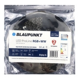 Blaupunkt Taśma LED Pro Line RGB+barwa ciepła
