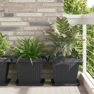 Kwadratowa Taca na Kwiaty 24 pcs Czarny 36 x 36 x 2.5 cm