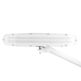 Lampa warsztatowa led Elegante 801-s z imadełkiem standard biała 123739