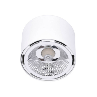 Reflektor / spot K-5133 z serii HORN
