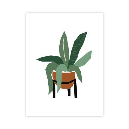 Roślina Plakat : Rozmiar - 30x40 cm