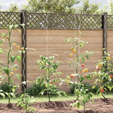 Spiralne podpórki do roślin, 20 szt, 170 cm, stal galwanizowana