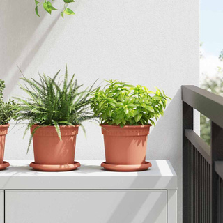 Okrągły Talerzyk Kwiatowy 24 pcs Czerwony ceglasty ? 14 x 2 cm