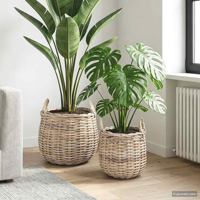 Kosz na rośliny 2 szt. Naturalna szarość Rattan Kubu