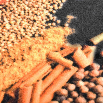 vidaXL Kuchenny dywanik podłogowy Spice, 60x300 cm