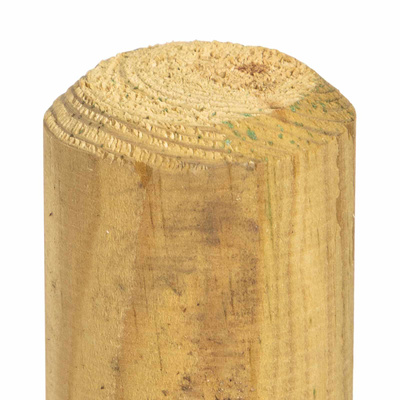 Słupki ogrodzeniowe 10 szt. brązowy 100 cm Lite drewno sosnowe