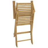 vidaXL Składane krzesła ogrodowe, 2 szt., 54,5x61,5x86,5 cm, akacja