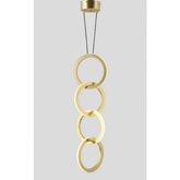 Zloty RING EARRING