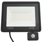 Reflektor LED z czujnikiem, 100 W, zimne białe światło