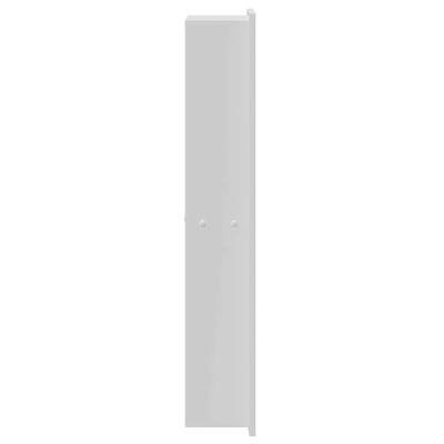 Nisza prysznicowa Biały 60 x 20 x 9,5 cm Stal nierdzewna