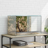 Terrarium z przechowywaniem przezroczysty 60 x 40 x 40 cm Szkło