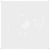 Osłona na rośliny przezroczysty 2 x 2 m PVC