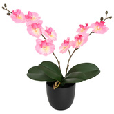 Sztuczna Roślina Orchidei różowy 36 x 10 x 30 cm