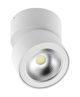 Oprawa oświetleniowa sufitowe natynkowe 15 W zintegrowane źródło LED