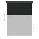 vidaXL Roleta zewnętrzna, 120x250 cm, antracytowa