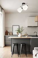 Lampa sufitowa BILOBA  czarny 2x40W E14 nowoczesny styl do salonu sypialni kuchni korytarza