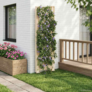 Trellis z gwoździem Biały 43 x 6 x 165 cm PP
