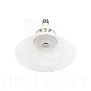 Żarówka LED z kloszem E27 - Zimna barwa - 60W