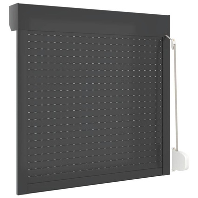vidaXL Roleta zewnętrzna, aluminiowa, 100 x 100 cm, antracytowa