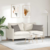 Poduszki na sofę 2 pcs Ciemnoszary 60 x 40 cm tkanina