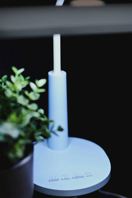 Lampka biurkowa K-BL1521 NIEBIESKI z serii MILO