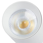 Blaupunkt Reflektor LED 1-fazowy Vision 30W biały z przełącznikiem barwy światła